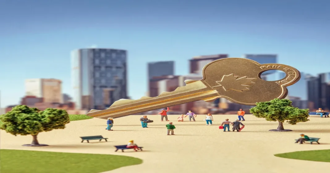 Build Homes for Everyone | U of T Magazine