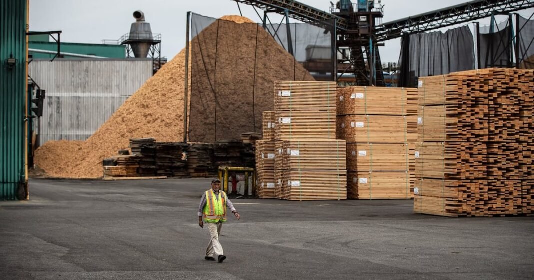 Canada launches task force for lumber sector